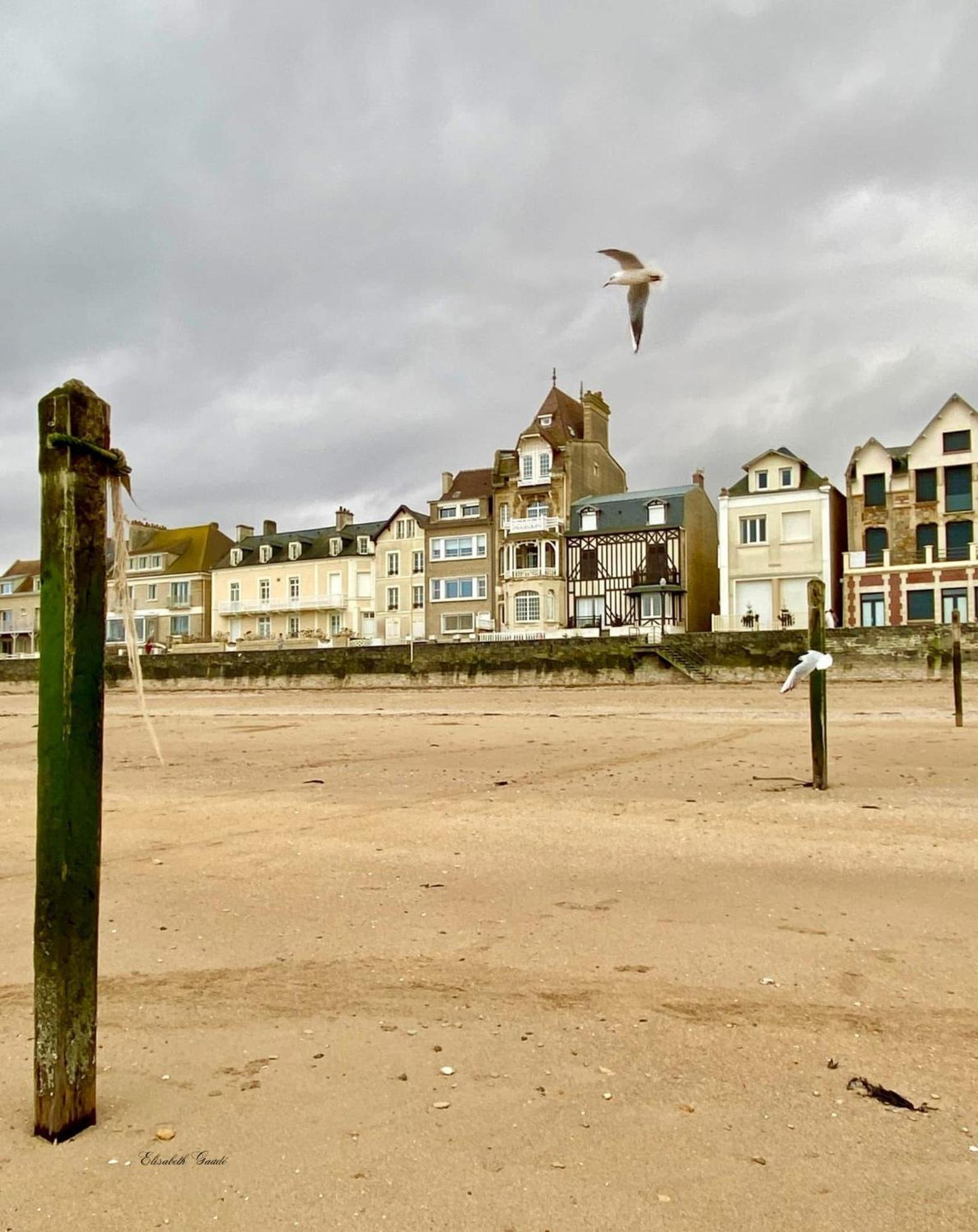 Saint-Aubin-Sur-Mer: Bel Appartement Traversant Saint-Aubin-Sur-Mer (Calvados) Exterior foto